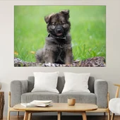 Малко кученце на поляната - картина пано за стена - Thumbnail 1