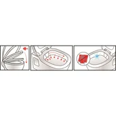 Моноблок със задно оттичане Rimless ICC 6382P INTER CERAMIC - Thumbnail 2