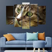 Близък кадър на котка - картина пано за стена - Thumbnail 3