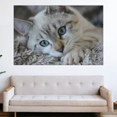 Портрет на малко коте - картина пано за стена - Thumbnail 1