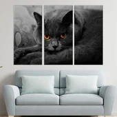 Британска дългокосместа котка - картина пано за стена - Thumbnail 2
