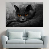 Британска дългокосместа котка - картина пано за стена - Thumbnail 1