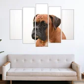 Kуче боксер - потрет - картина пано за стена - Thumbnail 3