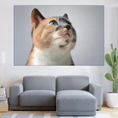 Пъстро домашно коте - картина пано за стена - Thumbnail 1